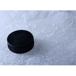 Eishockey Puck (Modell 4610)